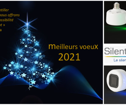 Meilleurs voeux 2021